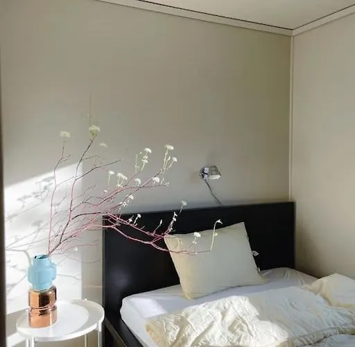 Spacious With View - 5br - Free Parking - Great Wi-fi