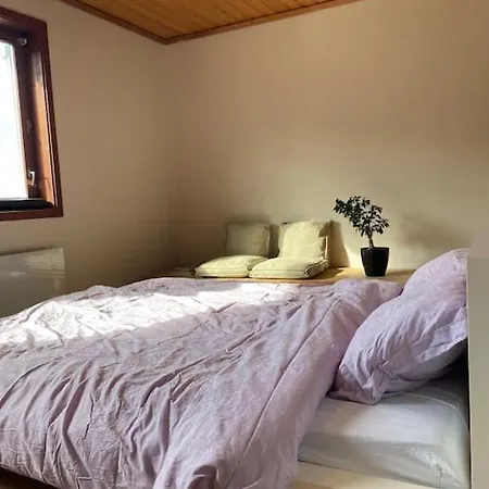 Spacious With View - 5br - Free Parking - Great Wi-fi *