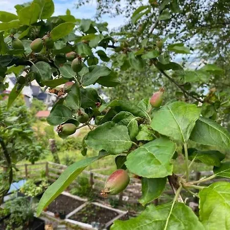 Βίλα Spacious With View - 5br - Free Parking - Great Wi-fi