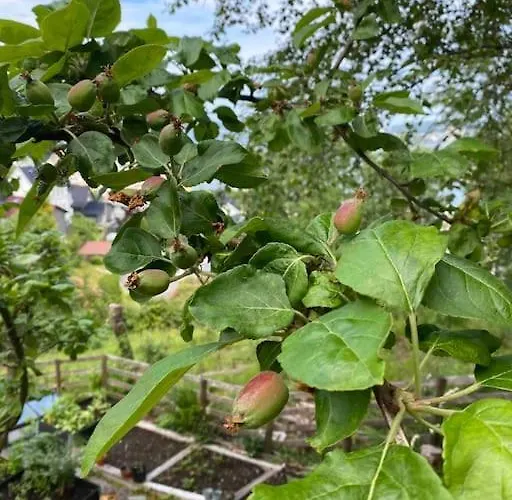 Вилла Spacious With View - 5br - Free Parking - Great Wi-fi